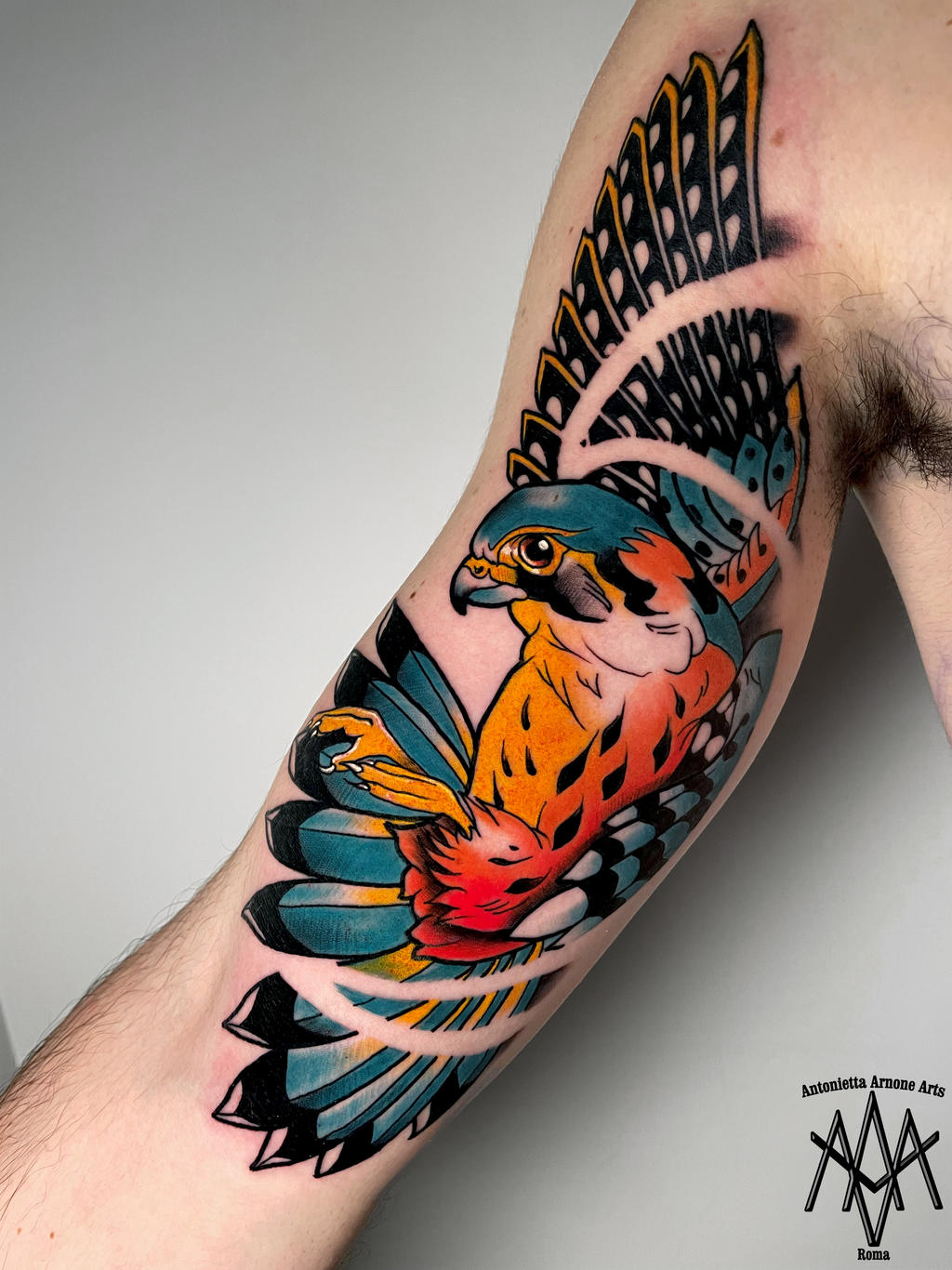 Falcon tattoo by AntoniettaArnoneArts on DeviantArt