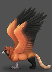 Gryphon - Asahi