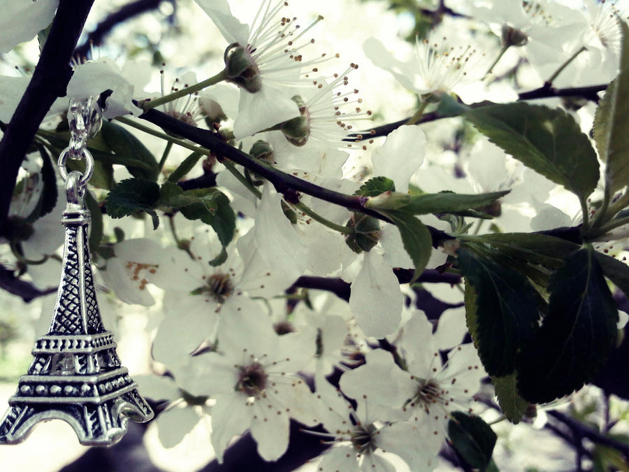 Paris in April.