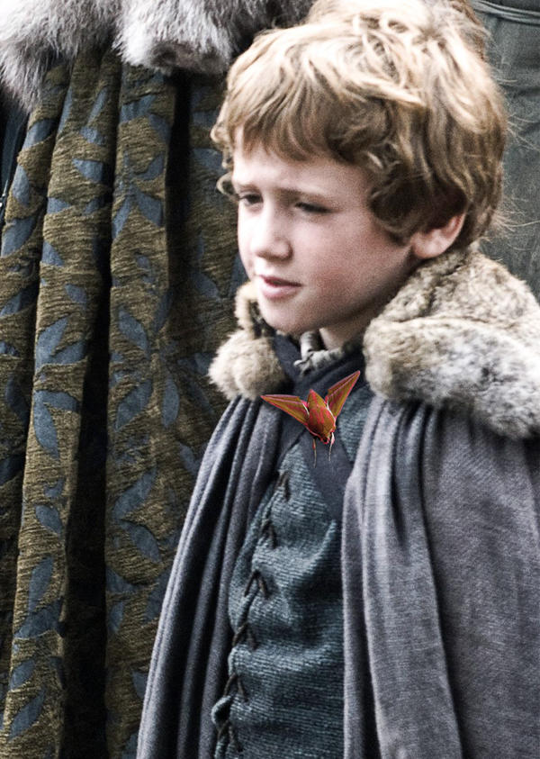 Rickon Stark and His Daemon