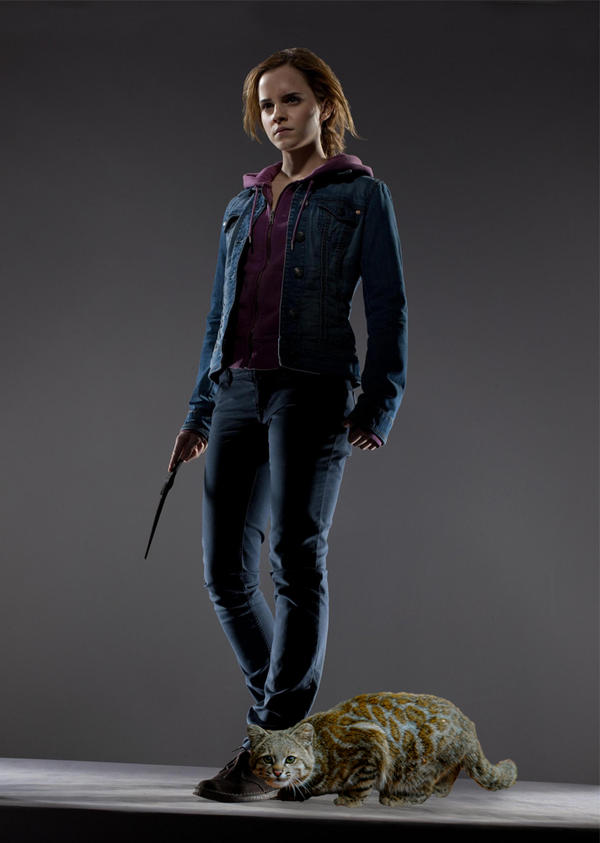 Veste En Jean Harry Potter Hermione Femme - Délavée Officielle Avec Capuche, Style Poudlard