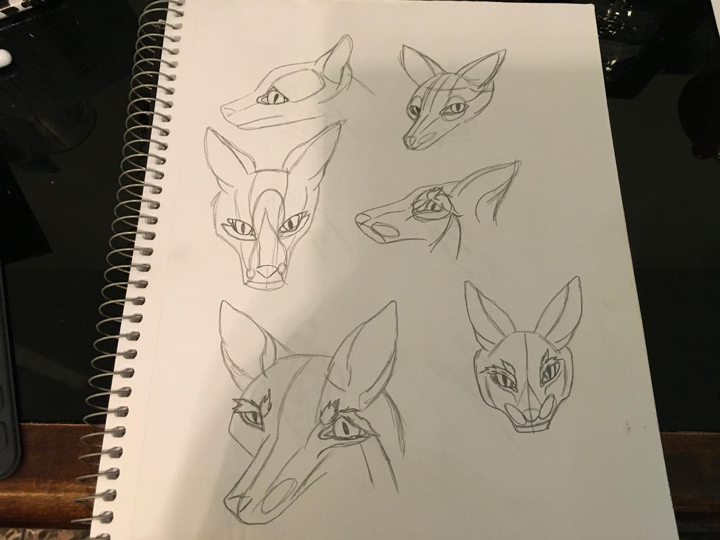 Fox Face Drawing Step By Step By Emaribel On Deviantart