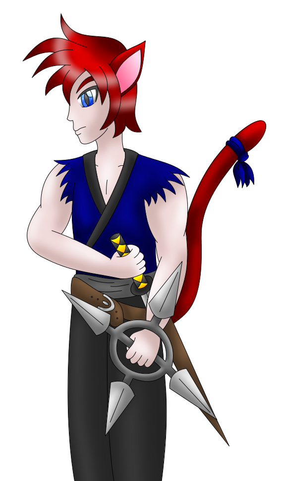 Ninja Catboy transparent