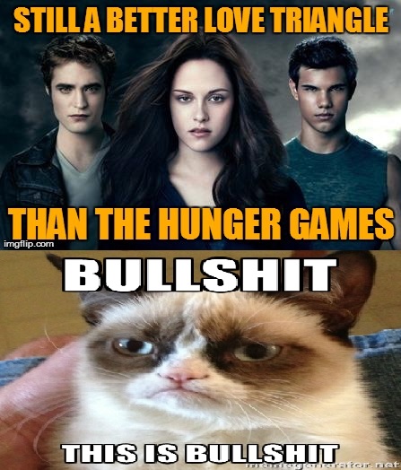 Hunger Games Meme