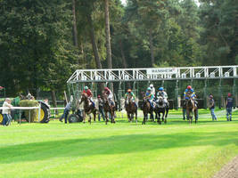 Horse Race Start