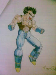 vegeta01