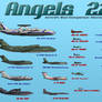 Angels 22 Aircraft Montage