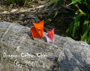 Origami Foxes