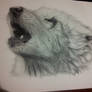 wolf portrait