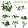 Clover Clumps_PNG_KL