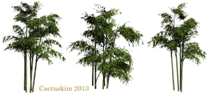 Bamboo PNGs_Rendered by Cactuskim