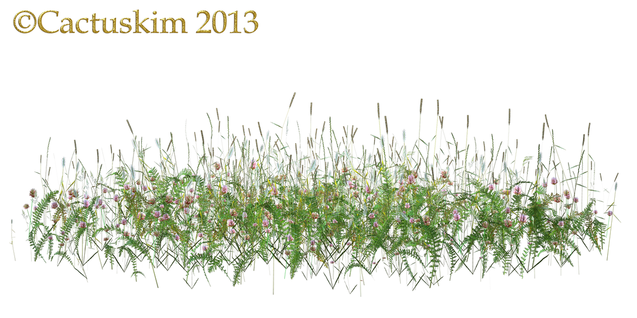 Wild Flowers and grass/weeds PNG_KL by cactuskim