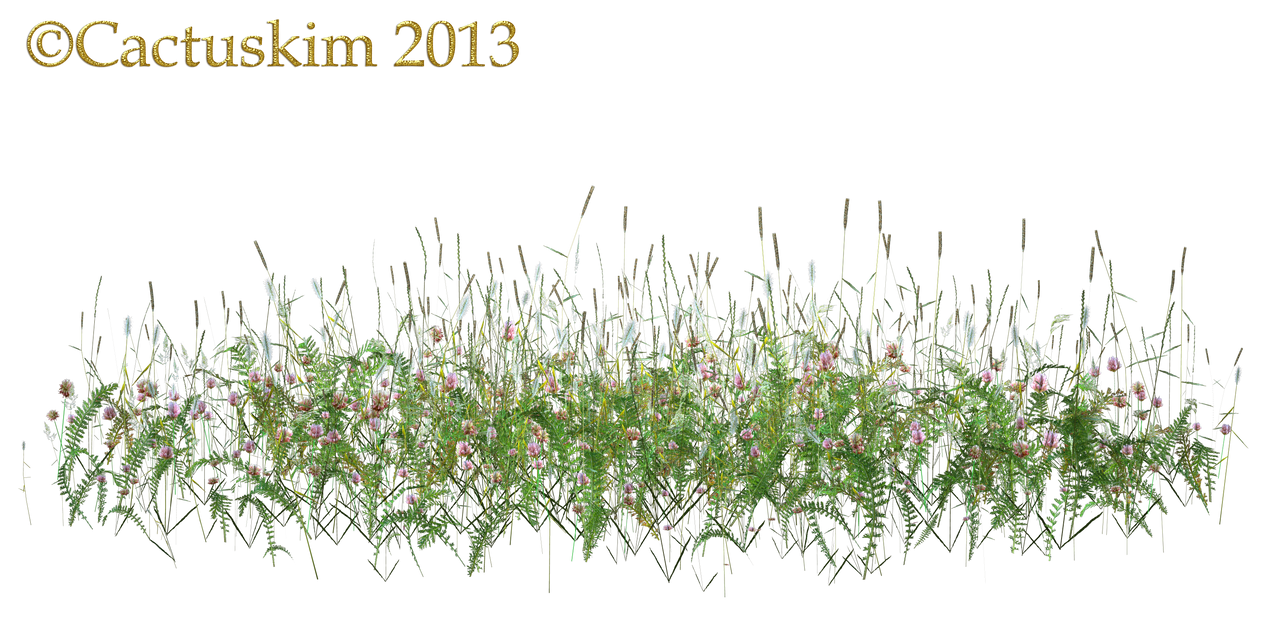 Wild Flowers and grass/weeds PNG_KL by cactuskim