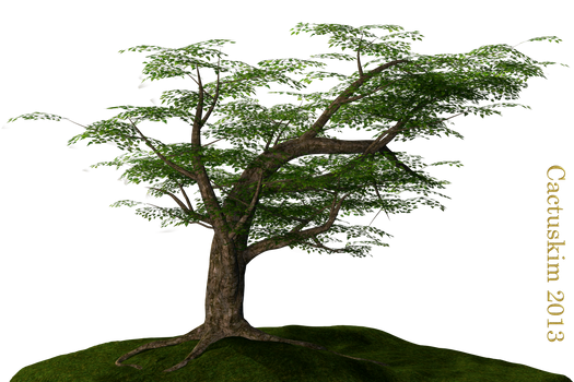 Tree on the Hill_PNG_KL