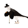 Dandiraptor