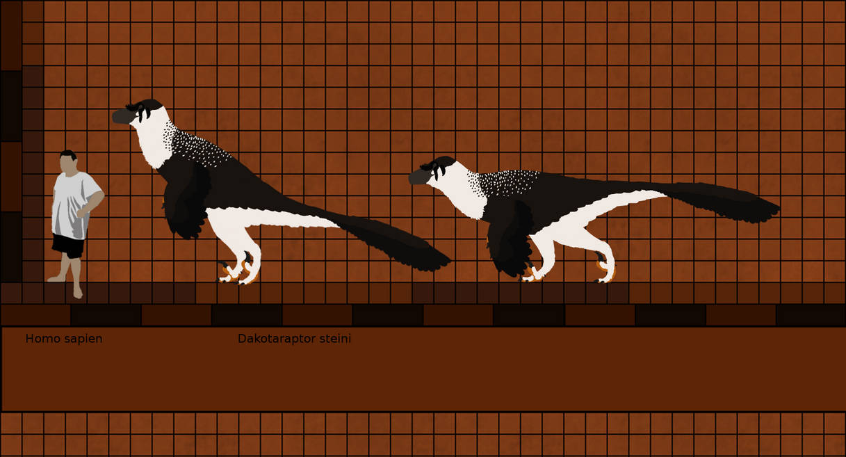Dakotaraptor Scale By Paleop On DeviantArt dakotaraptor-scale-by-paleop-on-deviantart