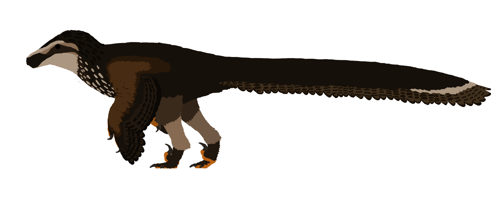 Dakotaraptor