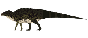 Edmontosaurus Annectens