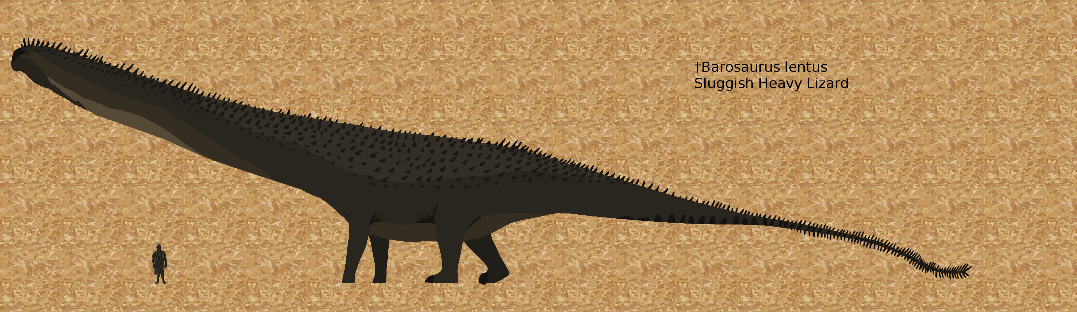 Barosaurus lentus by Paleop on DeviantArt