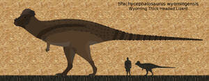 Pachycephalosaurus longnamensis