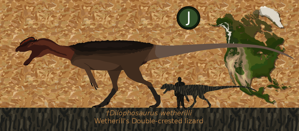 Double crusted lizard