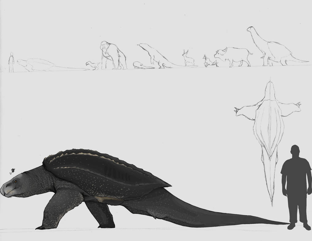 Skull Crawler Spec Evo By Paleop On DeviantArt skull-crawler-spec-evo-by-paleop-on-deviantart