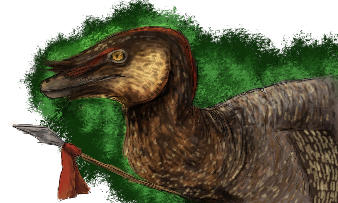 Pectinodon Pectinodon by Paleop on DeviantArt