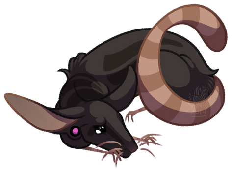 just another rat, aren't you