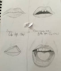 Facial Expressions: Lips