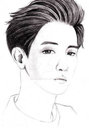 EXO Chanyeol portrait