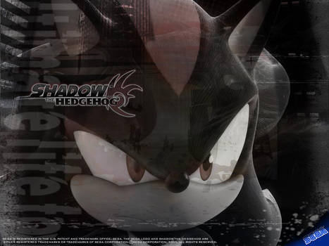 Shadow The Hedgehog2