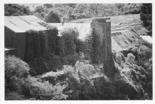 abandoned mill, buckley falls