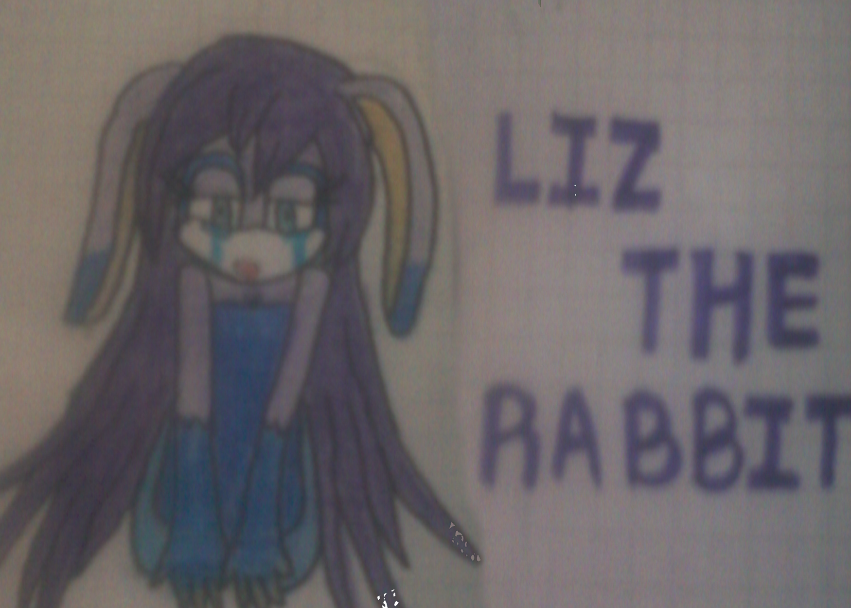Liz The Rabbit by sabrithecat97 on DeviantArt