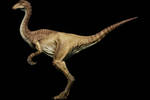 gallimimus Jurassic world PNG
