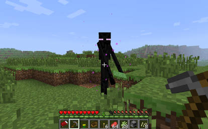 Daytime Enderman