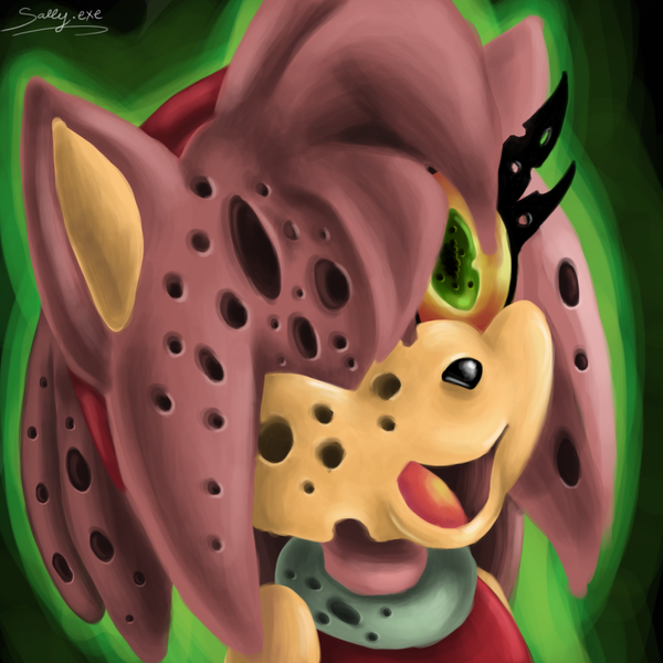 amy.exe (sonic.exe) by alysoph on DeviantArt