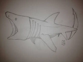 Shark Week Sketch Jam Day 5 BaskingShark