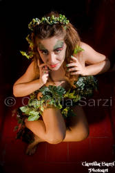 Poison Ivy 5