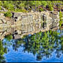 Trees, Stone, Water