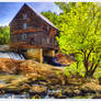 Laurel Mill In Spring