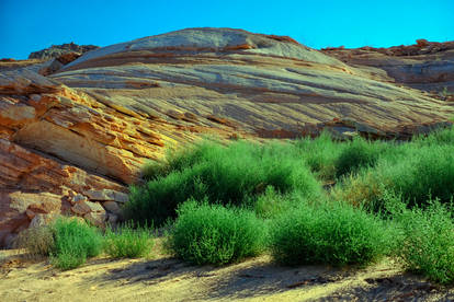 Scenes From Lake Powell