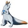 scug