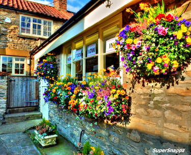 Rainbow Of Flowers