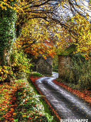 Autumn Lane by supersnappz16 Autumn Lane by supersnappz16