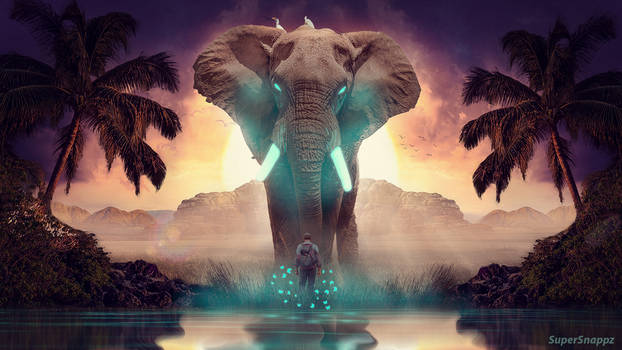 The Mystical Elephant