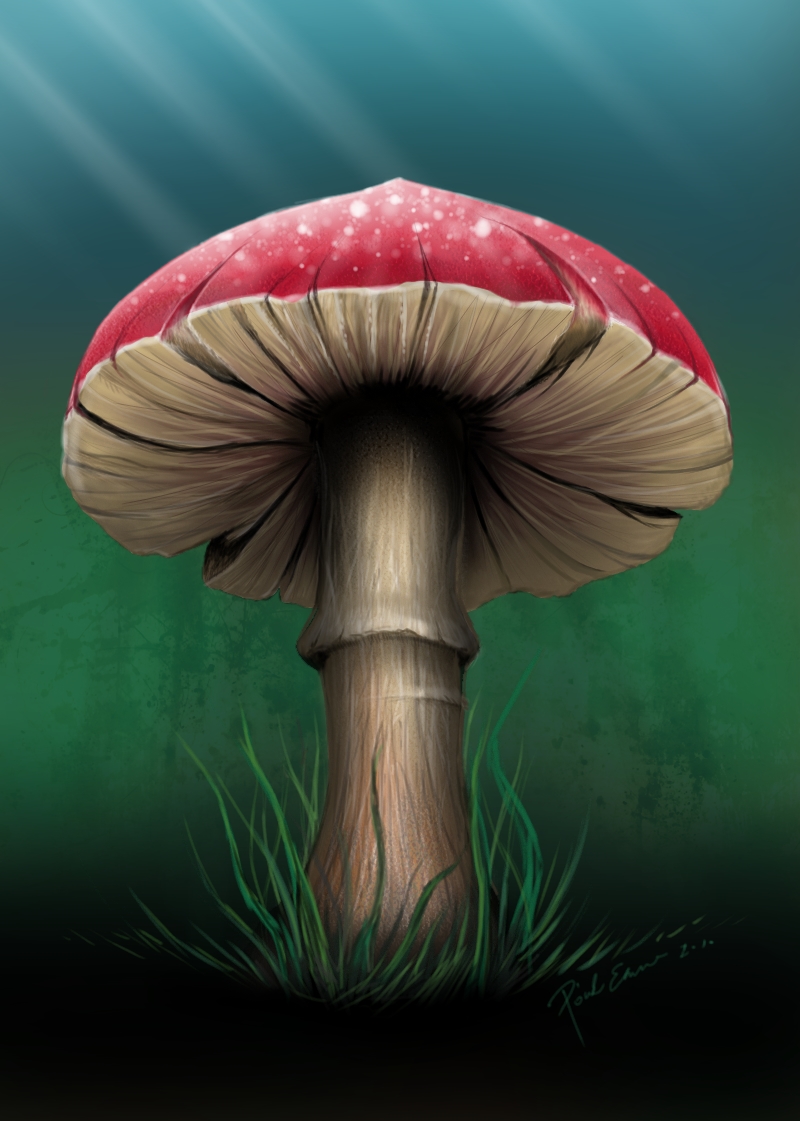 Magic Mushroom