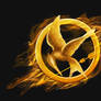 Hunger Games - Mockingjay Pin