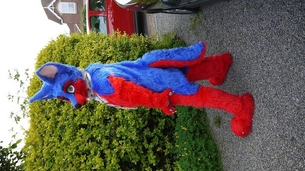 My fursuit