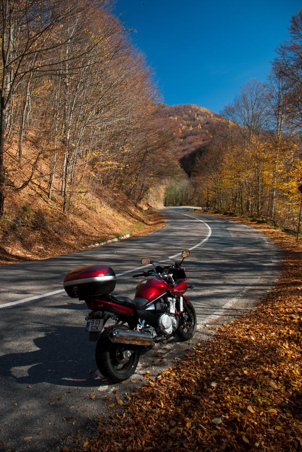 Suzuki Bandit 650