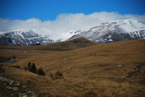 Bucegi Mountains II